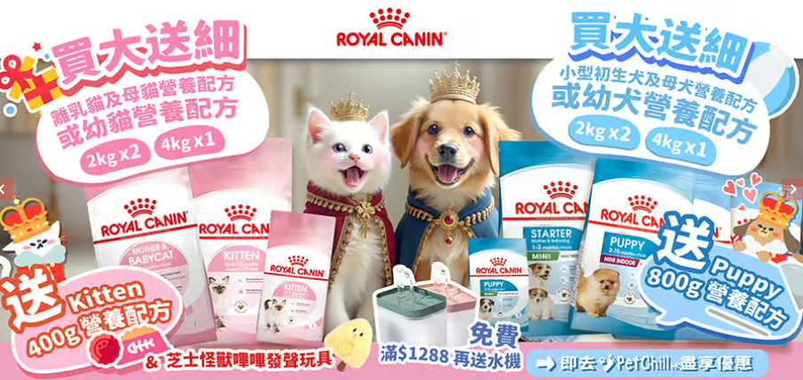 Royal Canin 貓糧推薦：營養、科學與呵護並重的選擇
